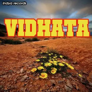 Vidhata image