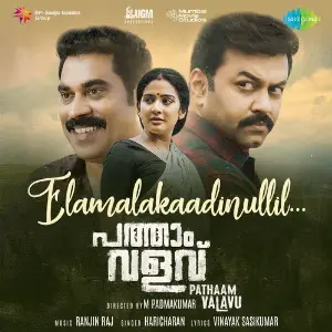 Pathaam Valavu image