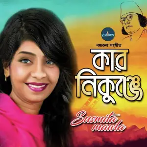 Kar Nikunjee image