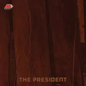 The President image