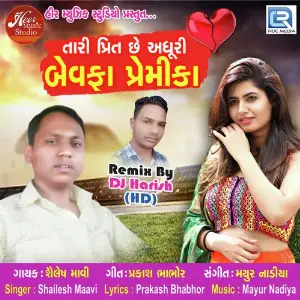 Tari Preet Chhe Adhuri Bewafa Premika image