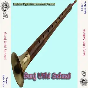 Gunj Uthi Sehnai image