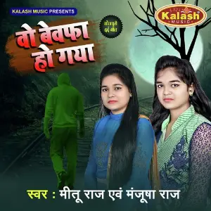 Wo Bewafa Ho Gaya image