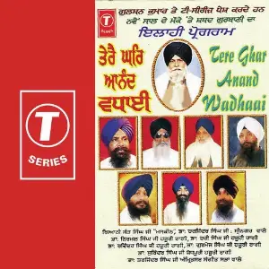 Tere Ghar Anand Wadhaai image