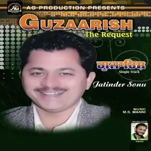 Guzaarish the Request image