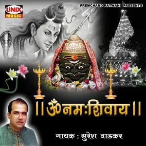 Om Namah Shivay image