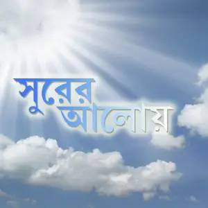 Surer Aloy image