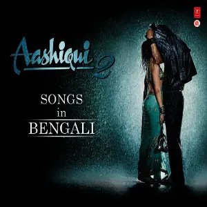 Aashiqui 2 image