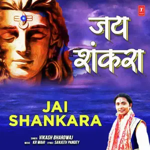 Jai Shankara image