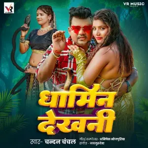 Dhamin Dekhni image