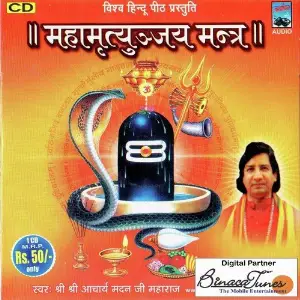 Maha Mrityunjaya Mantra image