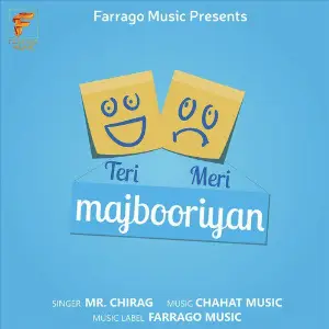 Teri Meri Majbooriyan - Single image