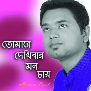 Tumare Dekhibar Mon Chai image