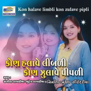 Kon Halave Limbli Kon Zulave Pipli image