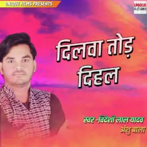 Dilwa Tod Dihal Labhar Ke Kahe Chhod Dihalas image