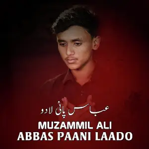 Abbas Paani Laado image