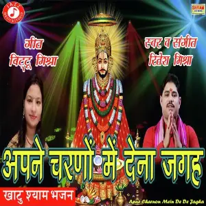 Apne Charnon Mein De De Jagha image
