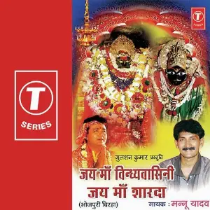 Jai Maa Vindyvasini Jai Maa Sharda image