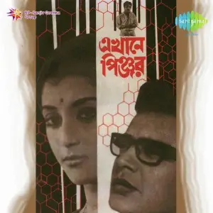 Ekhane Pinjar image