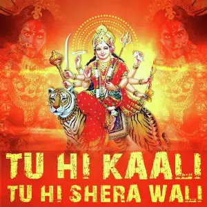 Tu Hi Kaali Tu Hi Shera Wali image