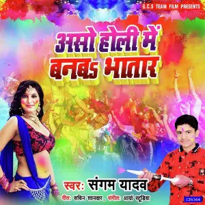 Aso Holi Me Banaw Bhatar image