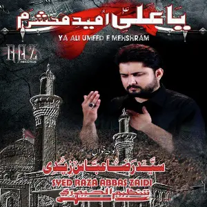 Ya Ali Umeed E Mehshram image
