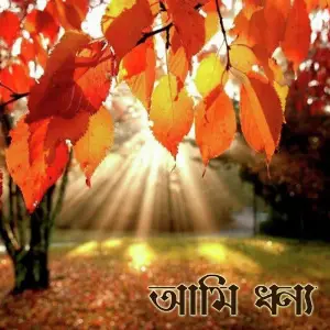 Ami Dhonno image