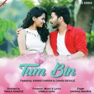 Tum Bin image