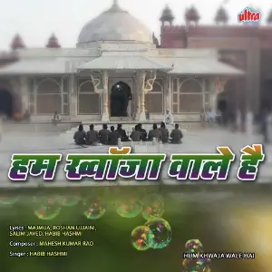 Hum Khwaja Wale Hai image