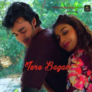 Tere Bagair image