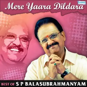 Mere Yaara Dildara - Best Of S.P. Balasubrahmanyam image