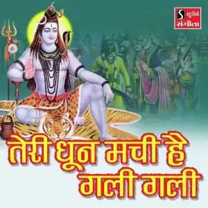 Teri Dhun Machi Hai Gali Gali image