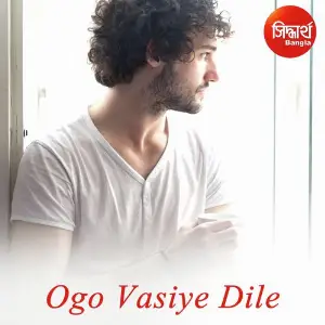 Ogo Vasiye Dile image