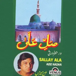Sallay Ala image