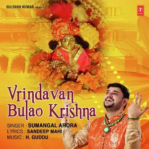 Vrindavan Bulao Krishna image