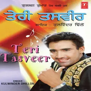 Teri Tasveer image