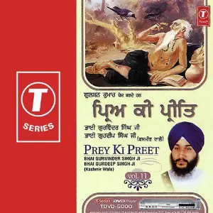 Prey Ki Preet (Vol. 11) image