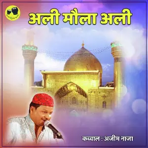 Ali Maula Ali image