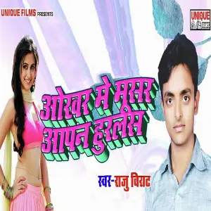 Okhar Me Musar Aapan Huralas image