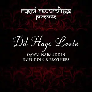 Dil Haye Loota image