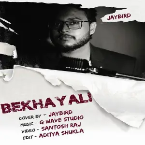 Pareshaan Violin Mix (Cover Version) Jaybird