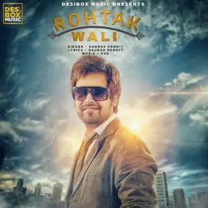 Rohtak Wali image