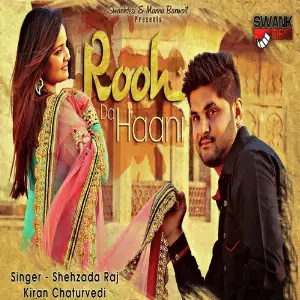 Rooh Da Haani image