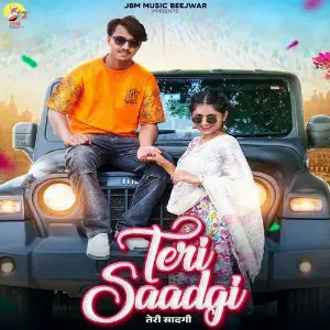 Teri Saadgi image