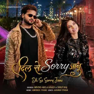 Dil Se Sorry Janu image