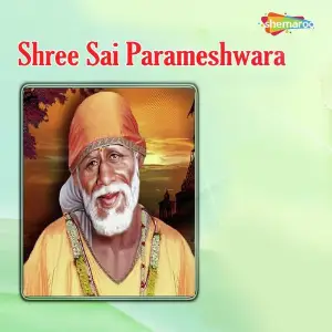 Shree Sai Parameshwara image