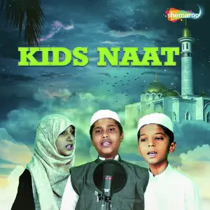 Tu Kuja Mann Kuja Muhammad Taha Qadri, Muhammad Taha Qadri