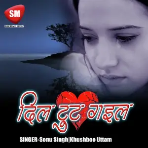 Dil Toot Gail image