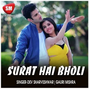 Surat Hai Bholi (Hindi Love Song) image