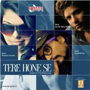 Tere Hone Se image
